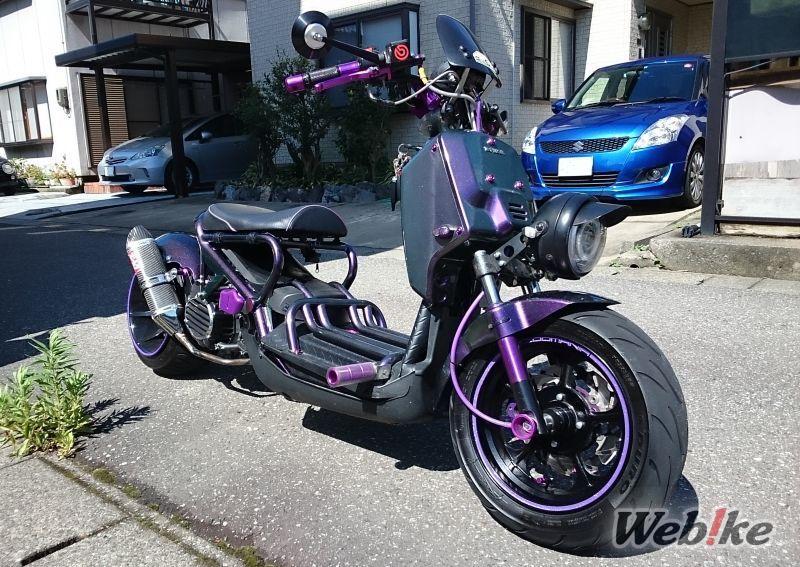 Ultra ribassato “Ruckus” con telaio modificato: viola vivo ZOOMER Custom