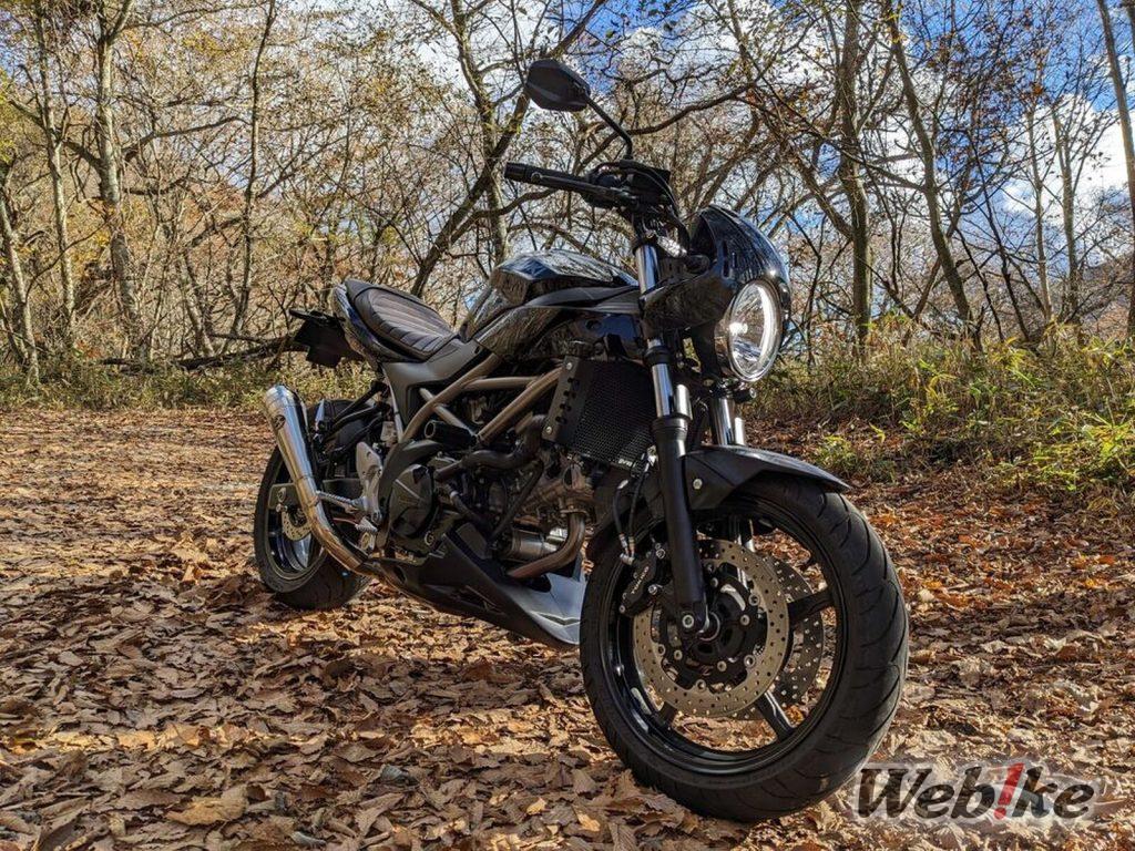 L’equilibrio ideale: SUZUKI SV650 Custom